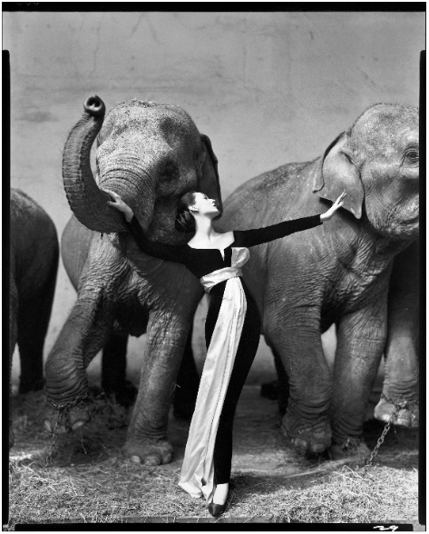 Dovima with elephants, evening dress by Dior, Cirque d'Hiver, Paris, August 1955