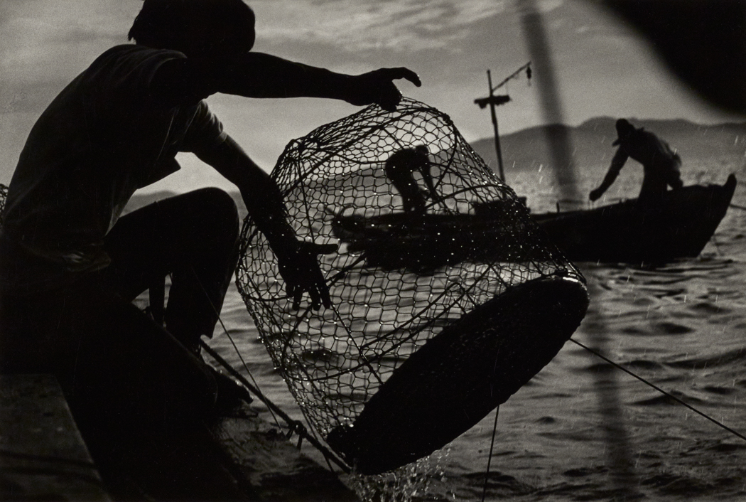 Fishing in Minamata Bay